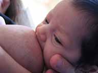 newborn breastfeeding baby